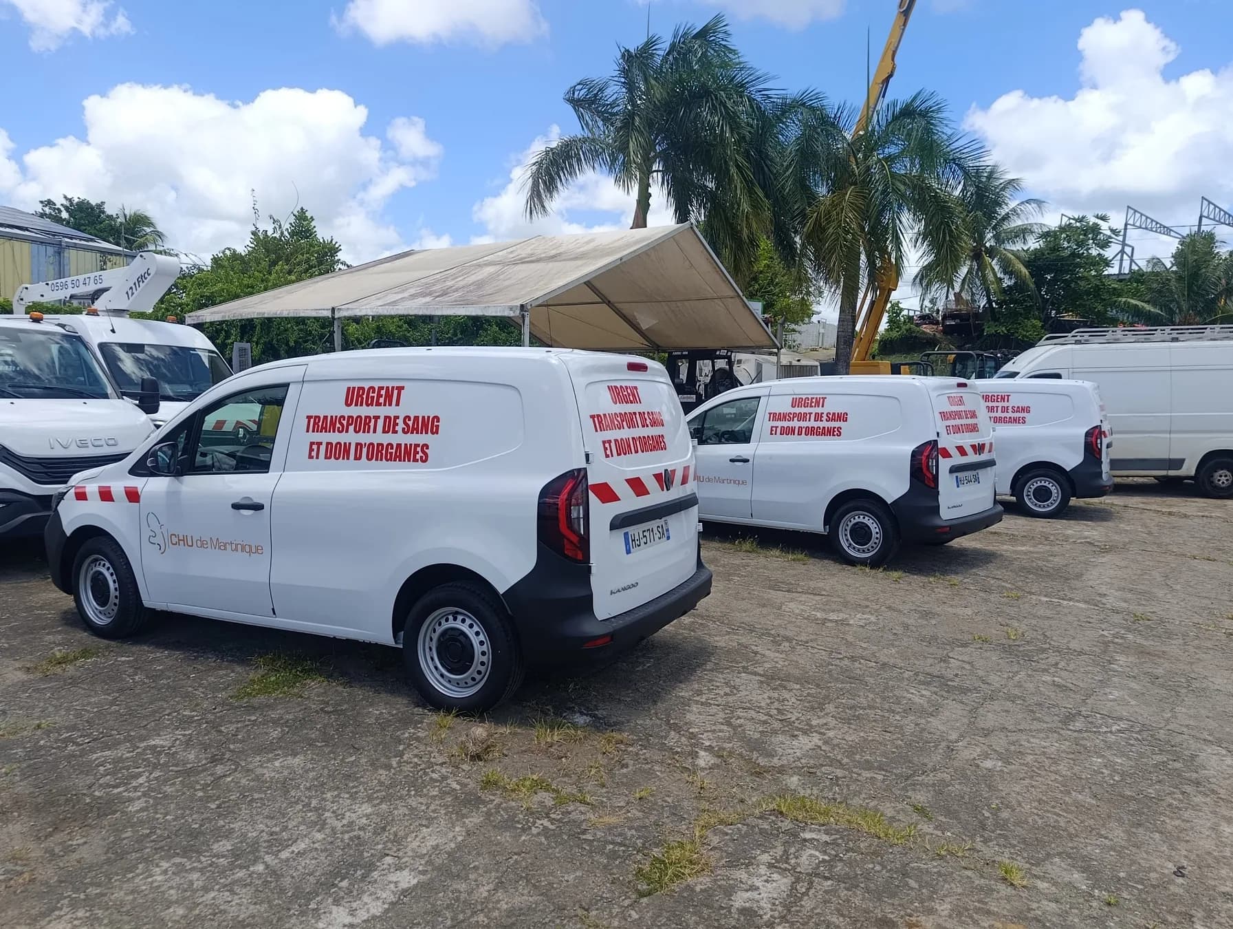Habillage de flotte véhicule en Martinique